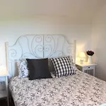 Apartmán Stone Aria Velika Čista