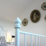 Stone Aria Velika Čista